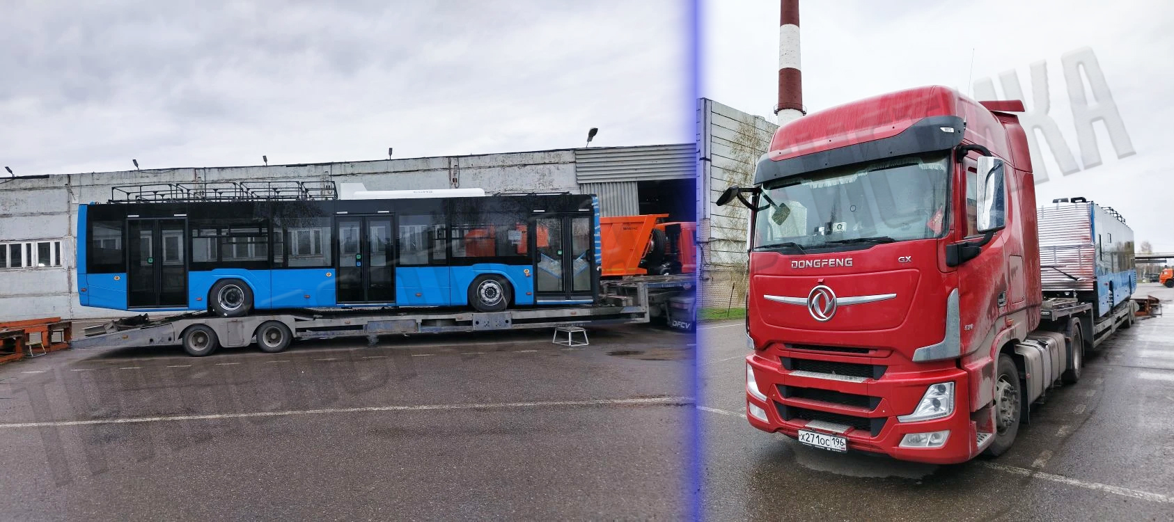 полол (1).jpg